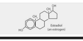 <p>Waht does estrogen (Estradiol)) do </p>