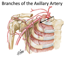 <p>Identify the structure</p>