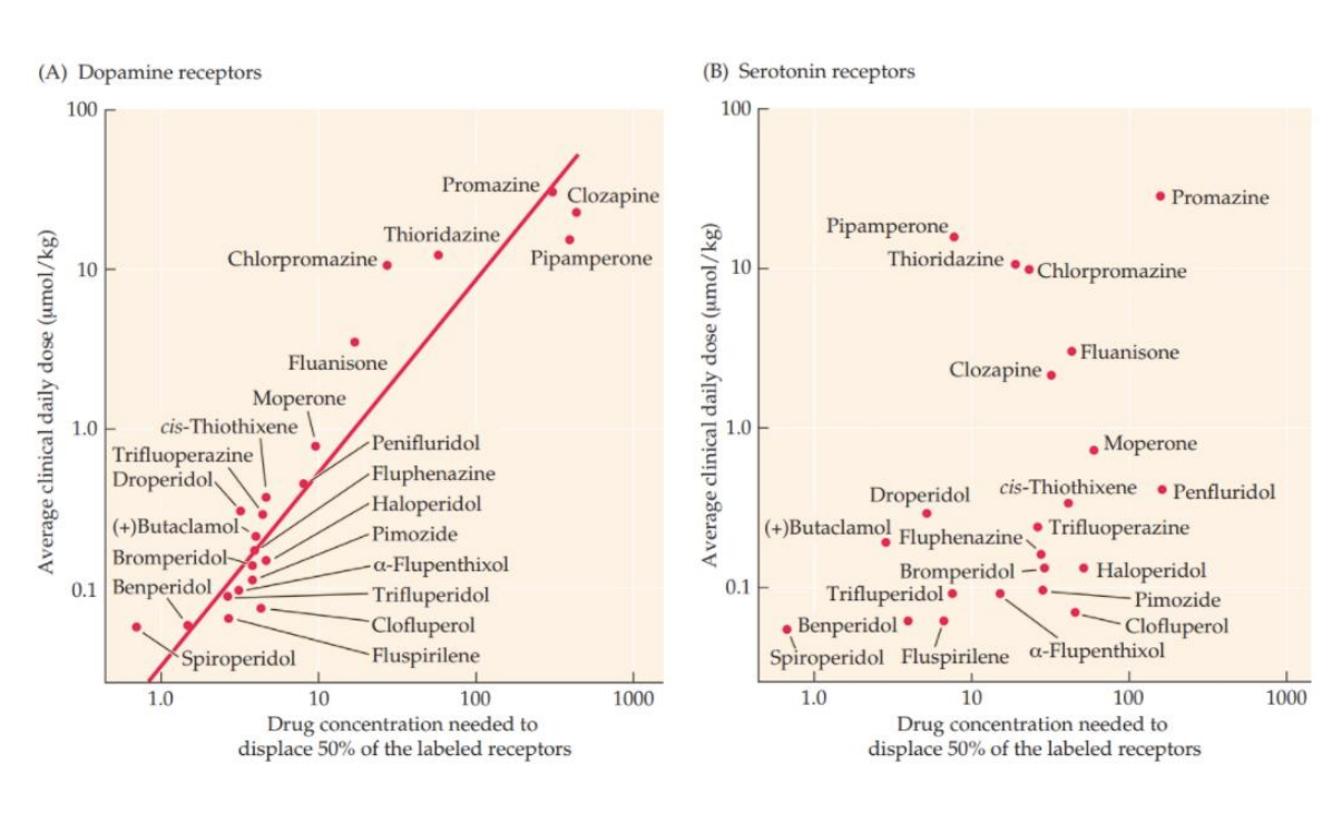 <p><strong>Antipsychotic drugs</strong></p>