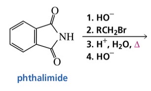 <p>Gabriel synthesis of a primary amine</p>
