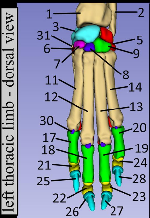 <p>What is 17?</p>