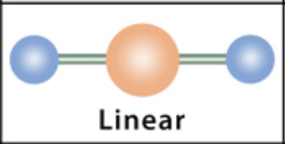 <p>Linear</p>