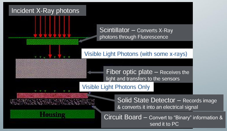 <p>-once the x-ray exposes the CCD sensor, the x-ray photons are converted to fluorescence by the scintillator</p><p>-fiber optic plate then receives the visible light photons to transfer to the sensors</p><p>-fiber optic plate eliminates x rays</p><p>-only visible light photons reach the solid state detector to record the imagee and convert it into an electrical signal</p><p>-circuit board converts to binary information and sends it to the computer</p>