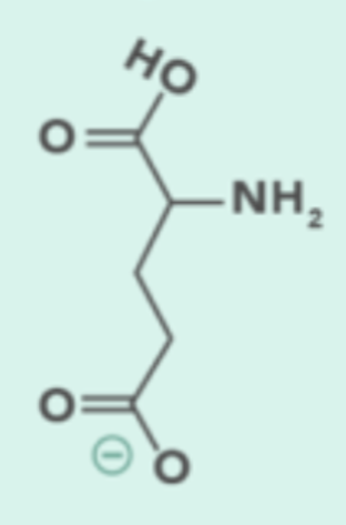 <p>Code: E, Side Chain Group: Electrically Charged (Negative/Acidic)</p>
