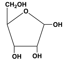 <p>What Carbohydrate is this, and what is its abbreviation? </p>