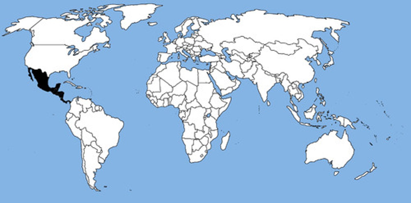 <p>a region of seven countries between Mexico and South America including Belize, Costa Rica, El Salvador, Guatemala, Honduras, Nicaragua, and Panama</p>