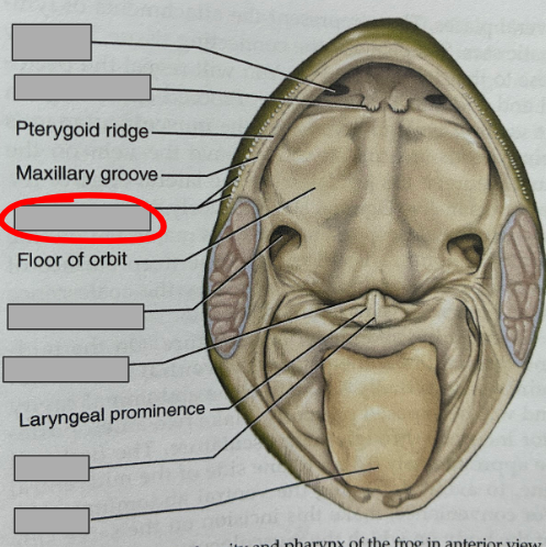 <p>What part of the organism is this?</p>