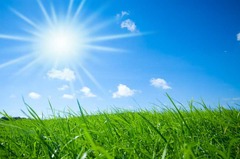 <p>Sunshine and Milk</p>