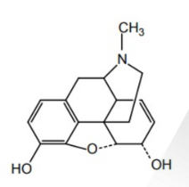 <p>Morphine</p>