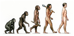 <p>/ˌiːvəˈluːʃənri/,</p><p>connected with evolution; connected with slow steady development and change</p><p>evolutionary theory</p><p>evolutionary change</p>