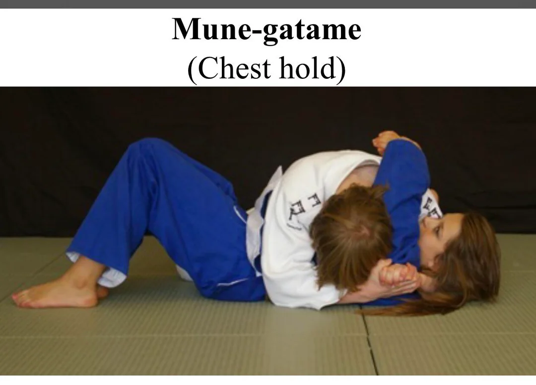 <p>Chest hold </p>