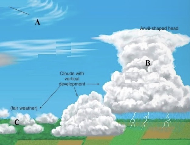<p><span><span>In the figure, identify the cloud type labelled (B)</span></span></p>