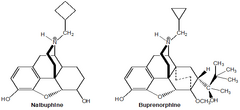 <p>What substitution(s) on the amine is associated with mixed agonist-antagonist activity?</p>