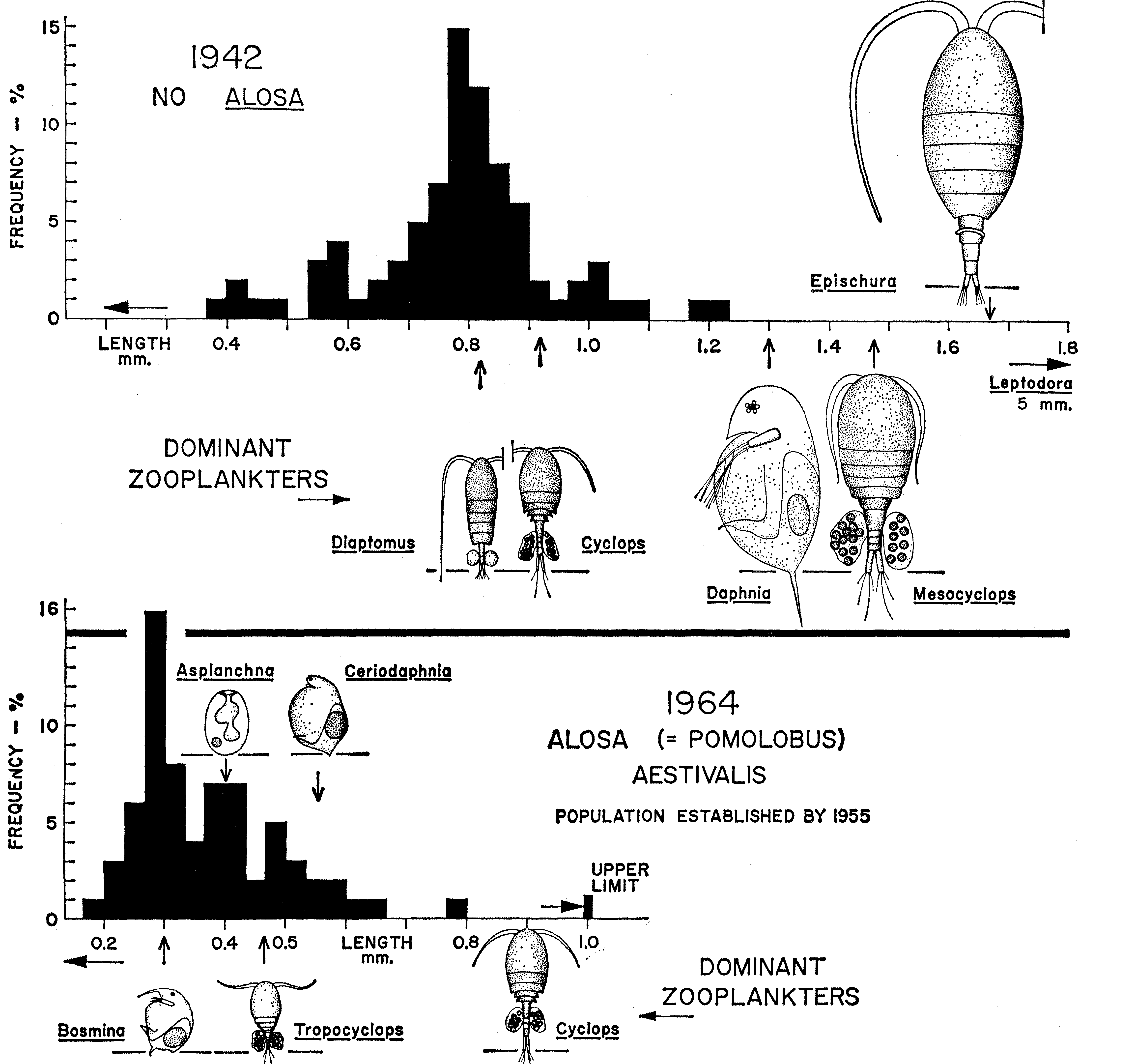 <p>What is the summary of the findings for the Brooks and Dodson case</p>