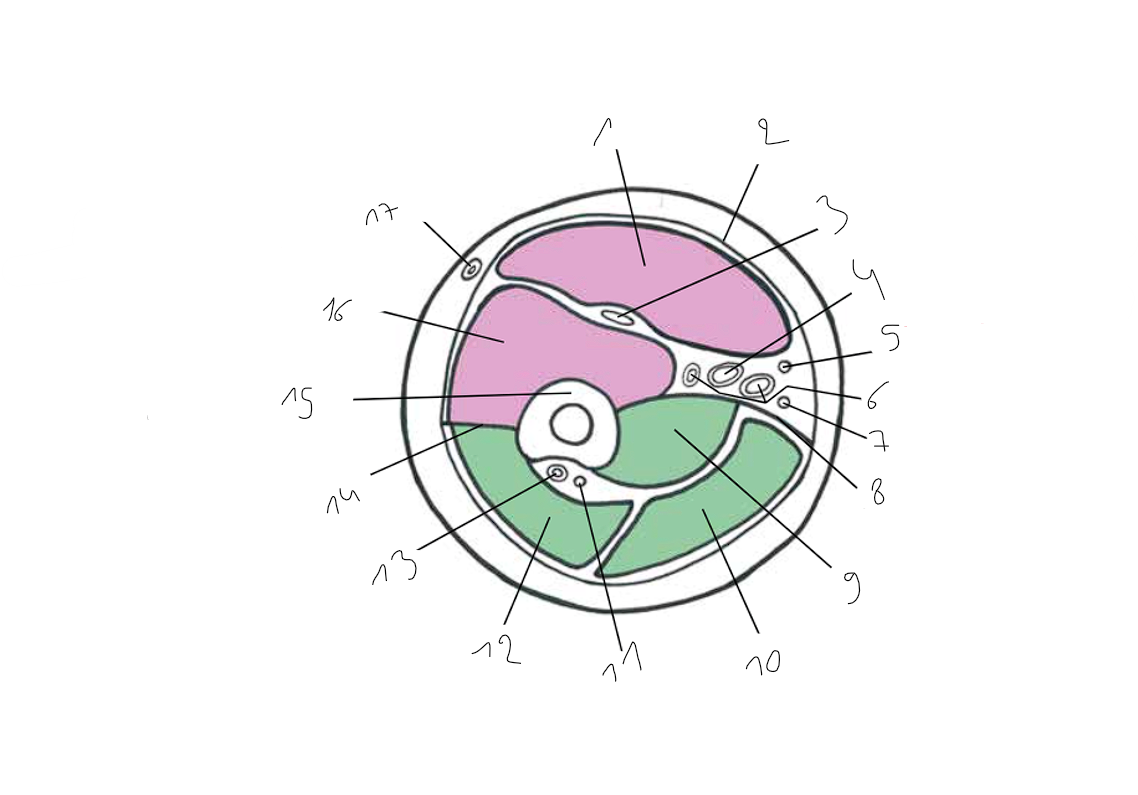 <p>15</p>