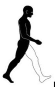 <p>what phase and step number is this?</p>