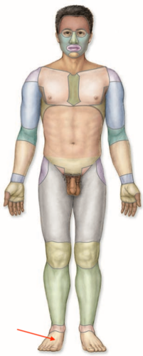 <p>what is this section called?</p>