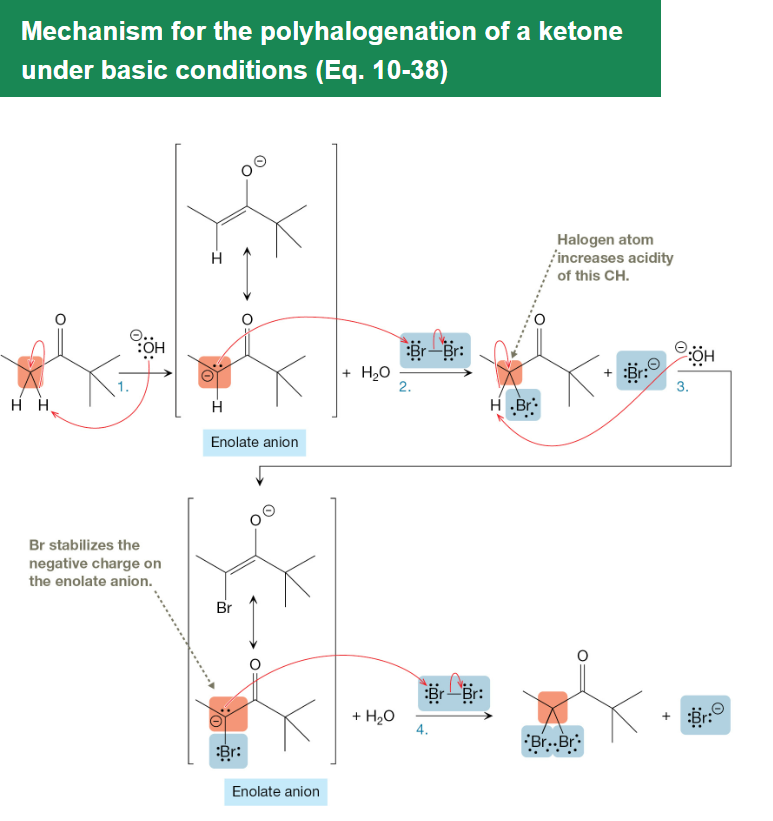 <p>Enolates formed under basic conditions react with halogens to repeatedly substitute α-hydrogens adjacent to carbonyls, often leading to polyhalogenation without altering the carbon skeleton.</p>