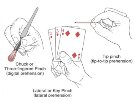 <ul><li><p>Thumb, index, and middle finger pinch</p></li><li><p>Ex: holding a pencil</p></li></ul><p></p>