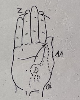 <p>AA</p>