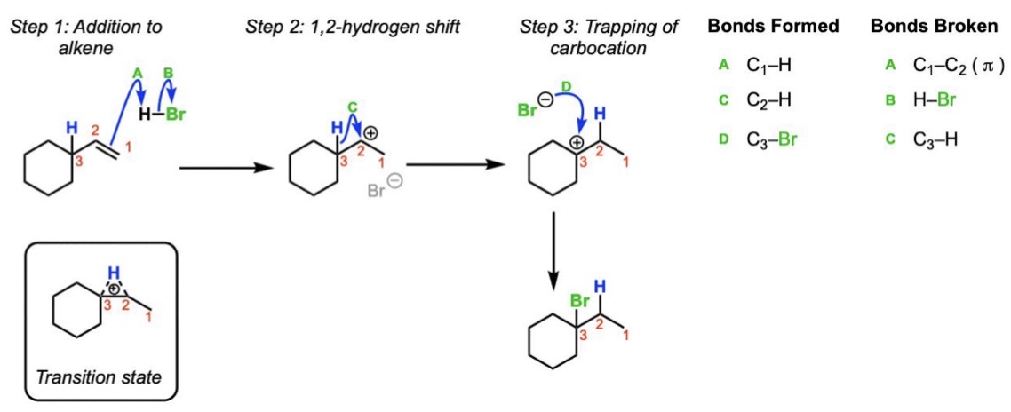 <p>Protonation → carbocation intermediate → nucleophilic attack by X⁻</p>