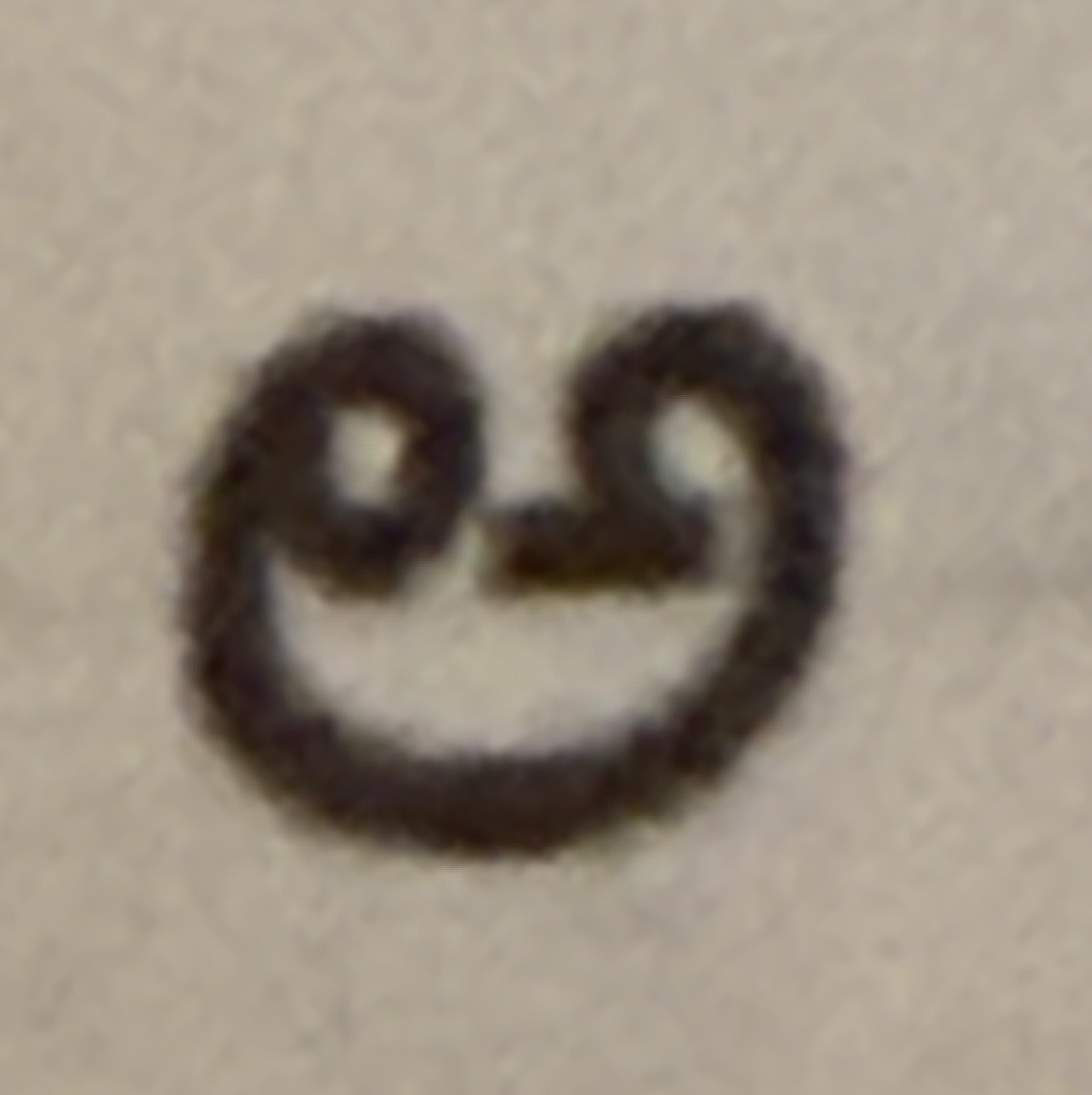 term image