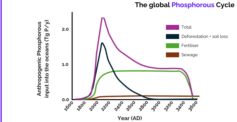 <p>Phosphorus may run out in 1000 years from mining sources</p><ul><li><p>Sewage</p></li><li><p>Fertiliser </p></li><li><p>Deforestation + soil loss </p></li></ul><p></p>