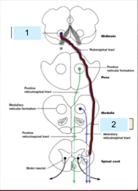 <p>What is 2?</p>