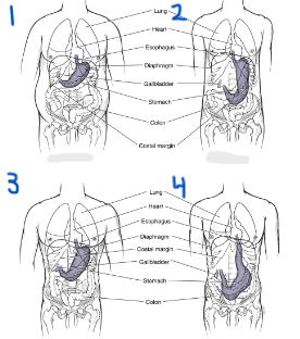 <p>4</p>