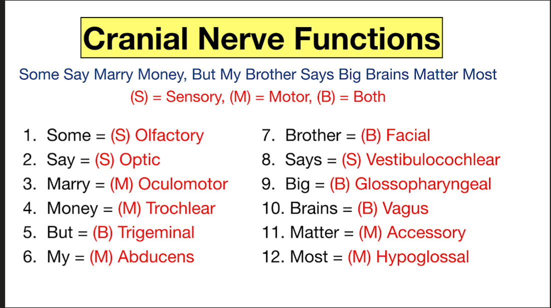 <p>Some Say Marry Money, But My Brother Says Big Brains Matter Most</p>