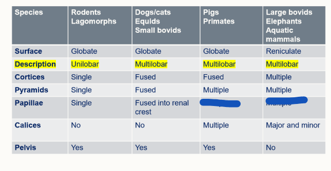 <p>Fill in</p>