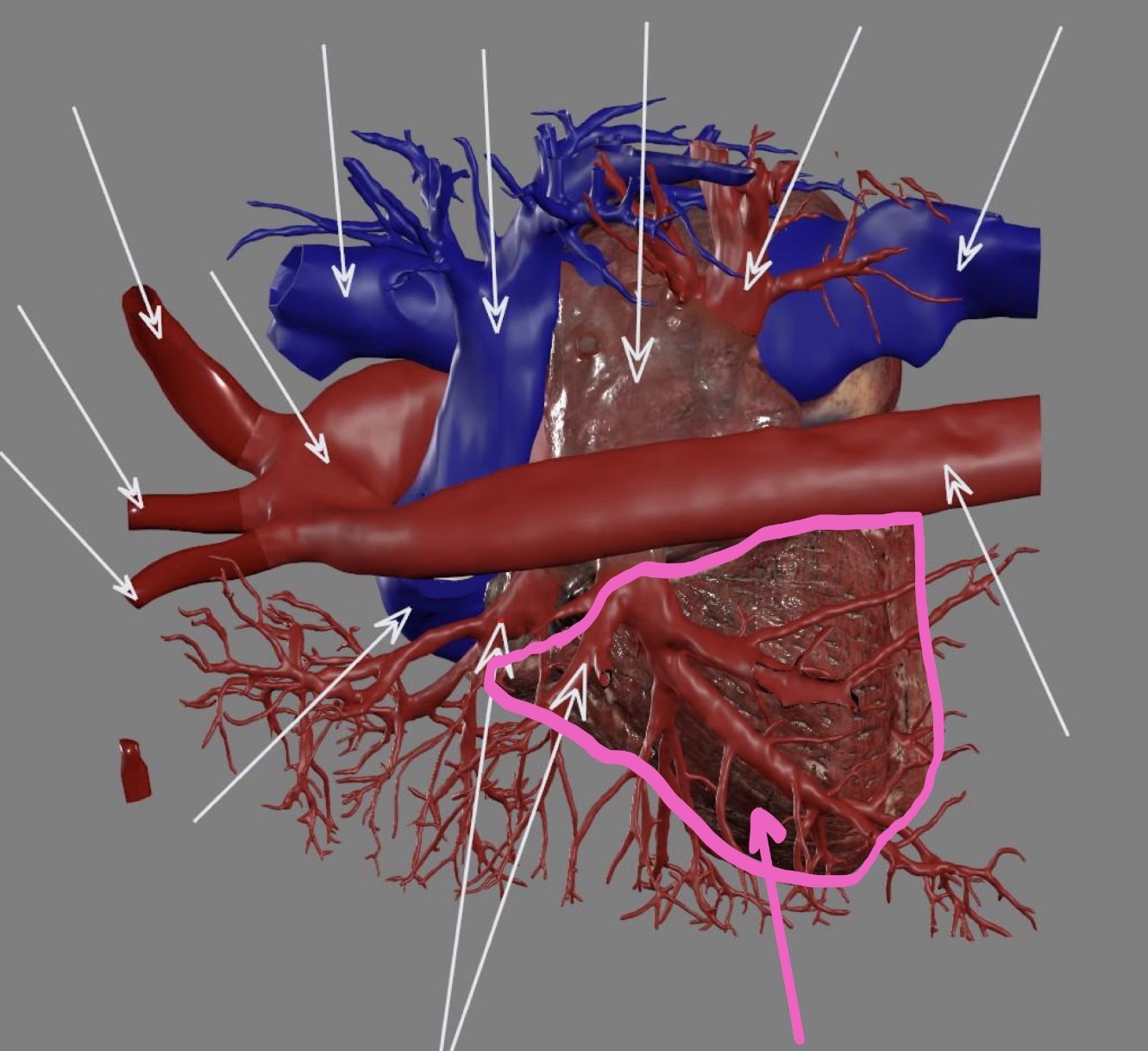 <p>What’s the highlighted area?</p>
