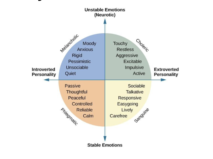 <p>what did the eysencks find?</p>