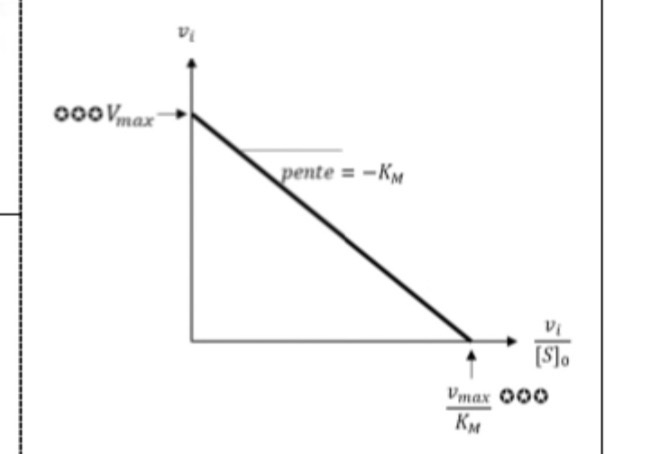 <p>Équation et quelle courbe ? Il </p>
