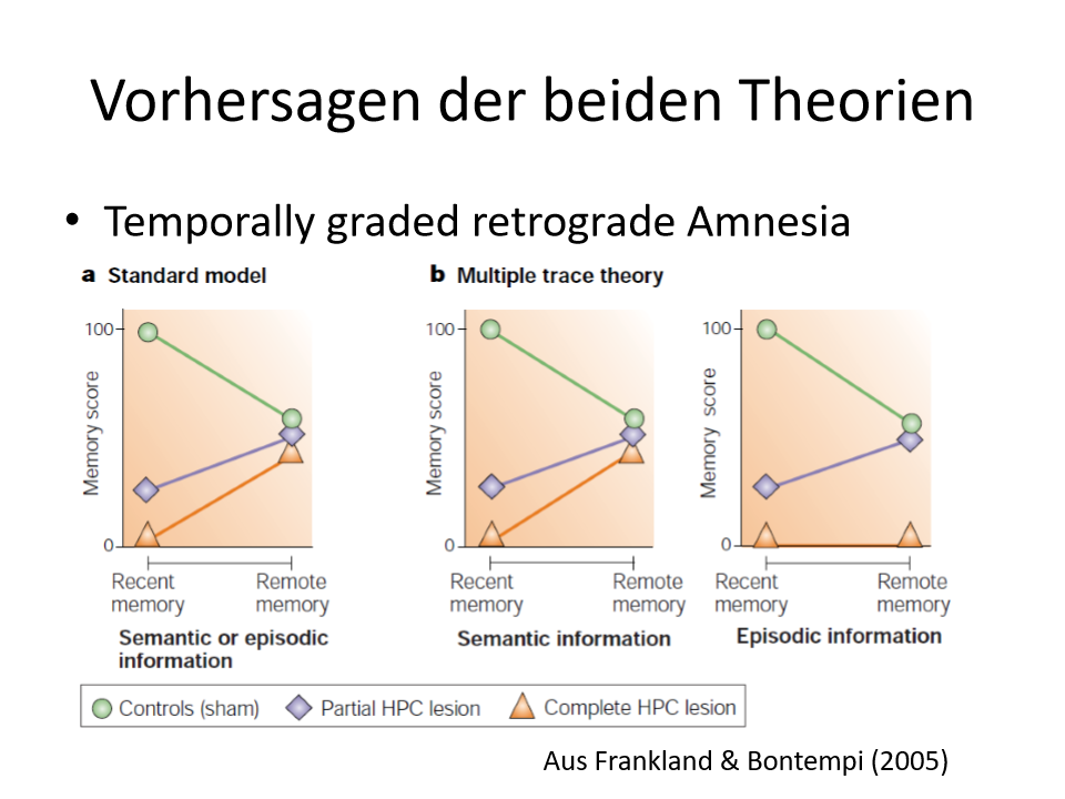 <p><span style="background-color: rgb(229, 224, 236);">Multiplen Trace Theory Episodische Information:</span></p><p><span style="background-color: rgb(229, 224, 236);"><strong>KG:</strong></span></p><p><span style="background-color: rgb(229, 224, 236);">Kürzlich erworbene Erinnerungen:</span></p><ul><li><p><span>Werden gut erinnert</span></p></li></ul><p><span style="background-color: rgb(229, 224, 236);">Ältere Erinnerungen:</span></p><ul><li><p><span>Werden schlechter erinnert</span></p></li></ul><p><span style="background-color: rgb(229, 224, 236);"><strong>Komplette Hippocampus Läsion:</strong></span></p><ul><li><p><span>Patienten haben kein Erinnerungserleben mehr</span></p></li></ul><p>=> Hier unterscheiden sich die jeweiligen Theorien</p><p><span style="background-color: rgb(229, 224, 236);"><strong>Partielle Hippocampus Läsion:</strong></span></p><p><span style="background-color: rgb(229, 224, 236);">Ältere Erinnerungen:</span></p><ul><li><p><span>Werden gut erinnert; unterscheiden sich nicht von KG</span></p></li></ul><p><span style="background-color: rgb(229, 224, 236);">Kürzlich erworbene Erinnerungen:</span></p><ul><li><p><span>Besser als Gruppe mit Komplette Hippocampus Läsion, aber auch hier herrscht ein Defizit</span></p></li></ul><p></p>
