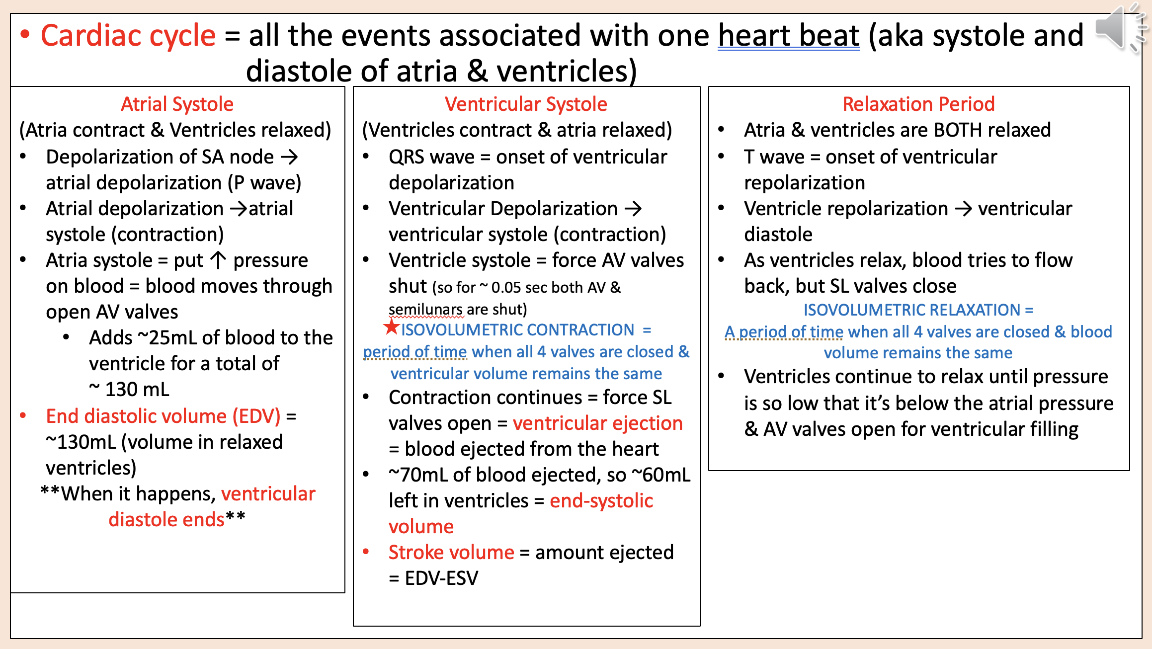 <p><span style="color: rgb(255, 0, 0);">ventricular systole</span></p>