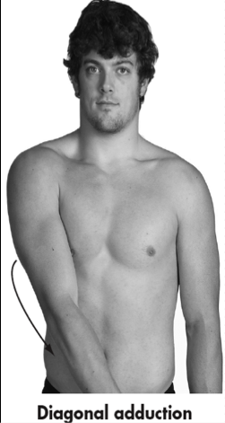 <p>Movement of humerus in a diagonal plane toward midline of body </p><p>Diagonal Plane</p>