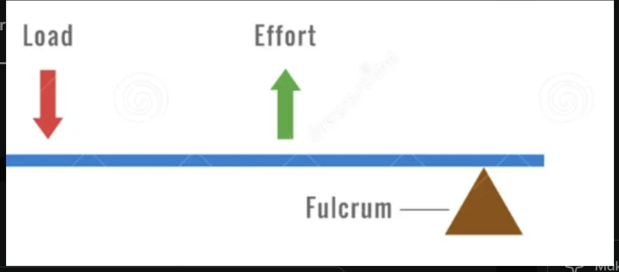 <ul><li><p>Load, effort, fulcrum</p></li><li><p>Fishing rod</p></li><li><p>effort always larger then load in 3rd order lever</p></li></ul><p></p>