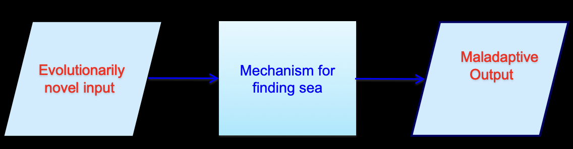 <p>What is the evolutionary novel/mismatch model?  </p>