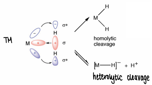 <p>Electrophilic activation forms the hydride, followed by H+ transfer.</p>