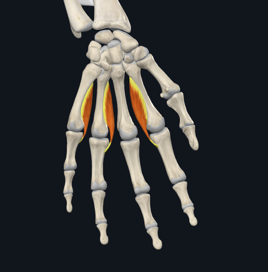 term image