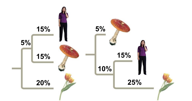 <p>Fill in the blank</p><p>The chart represents % of ______ in traits. </p>