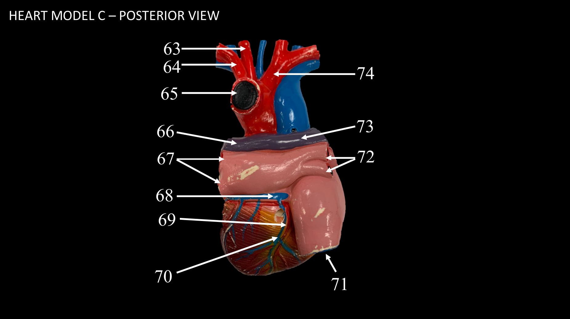 <p>WHAT IS 63 CALLED?</p>