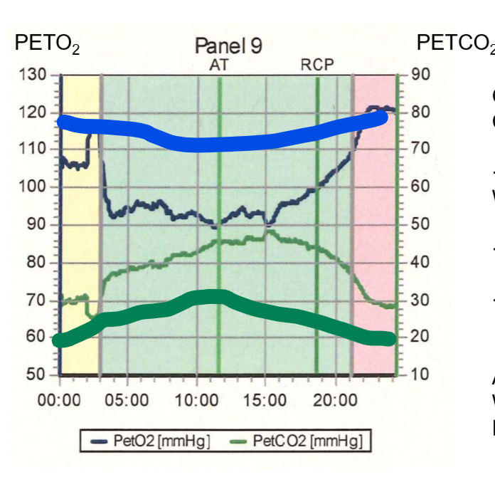 <p>PetCO2 zu tief und PEtO2 zo hoch.</p>