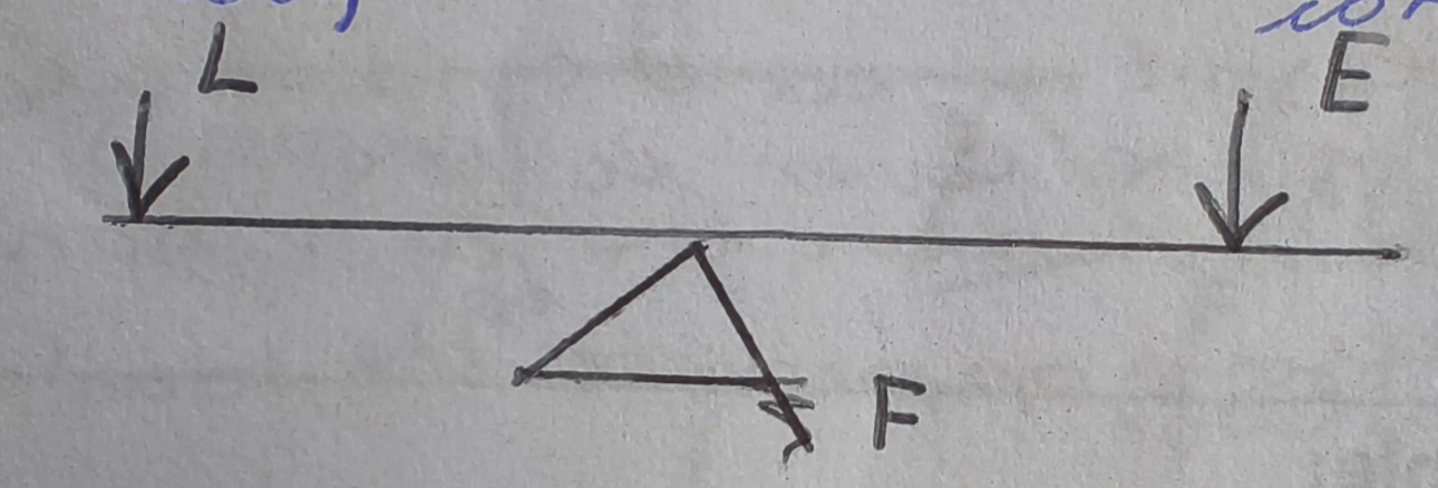 <p>The fulcrum is between the effort and the load </p><p class="has-focus">Both the effort and the load are the same direction </p><p class="has-focus"></p>