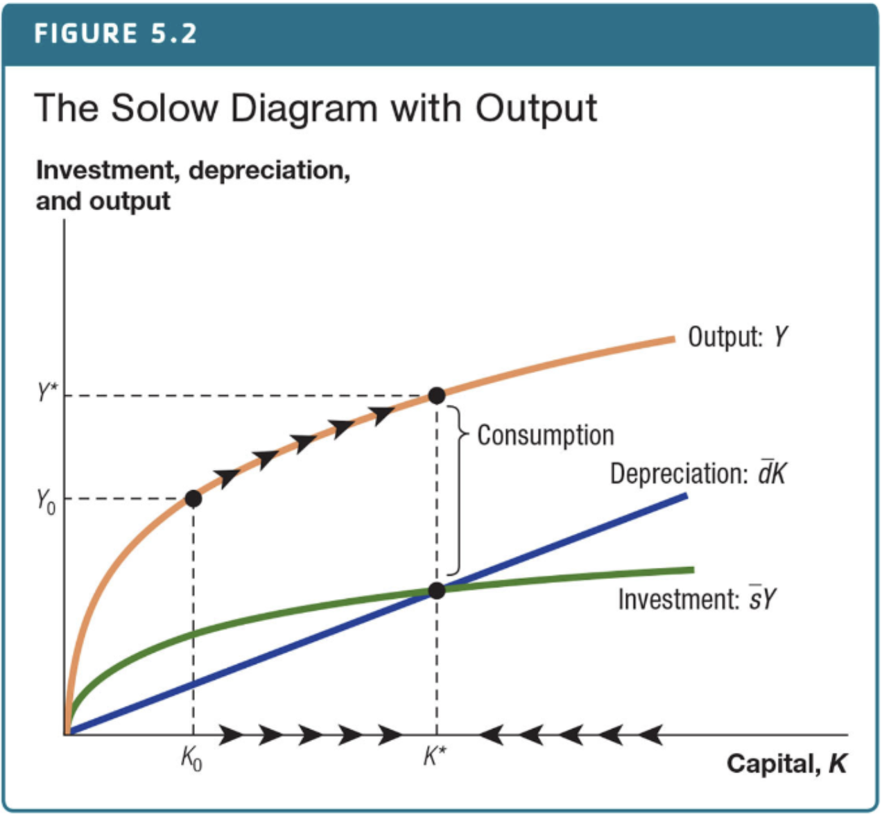 <p>Consumption equals the vertical distance between the output curve and investment curve.</p>