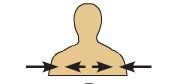 <p>between medial and lateral</p>