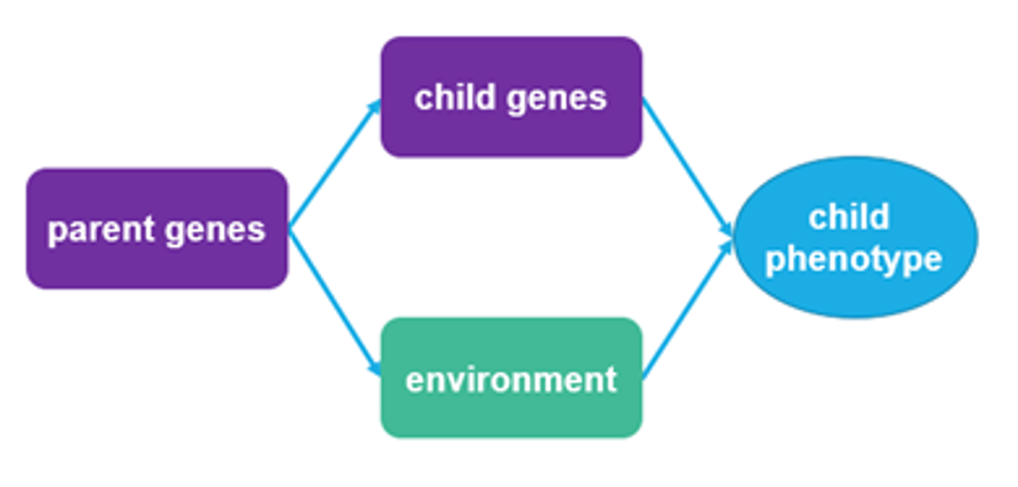 <p>Example: Parents who love reading pass on genes related to verbal ability and also fill the home with books.</p>