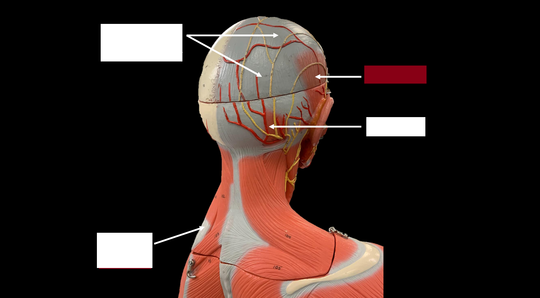 <p>WHAT IS THE NAME OF THE RED HIGHLIGHTED PART?</p>