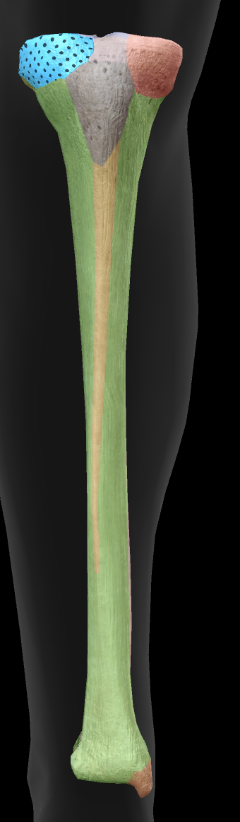 <p> </p>